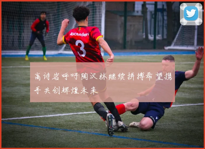 高诗岩呼吁陶汉林继续拼搏希望携手共创辉煌未来