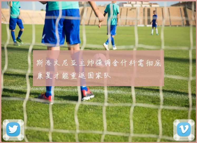 斯洛文尼亚主帅强调舍什科需彻底康复才能重返国家队